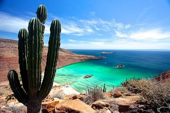 Una bahía de Isla Espíritu Santo entre cactus, desierto y mar turquesa